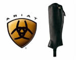 Ariat Concord Chap
