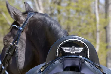 Horse Star Trensen/Kandaren & Zubehör