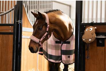 Eskadron Platinum Edition 2025/2026