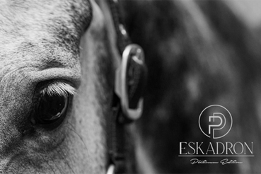 Eskadron Platinum 22/23