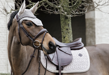 Kentucky Horsewear Basics