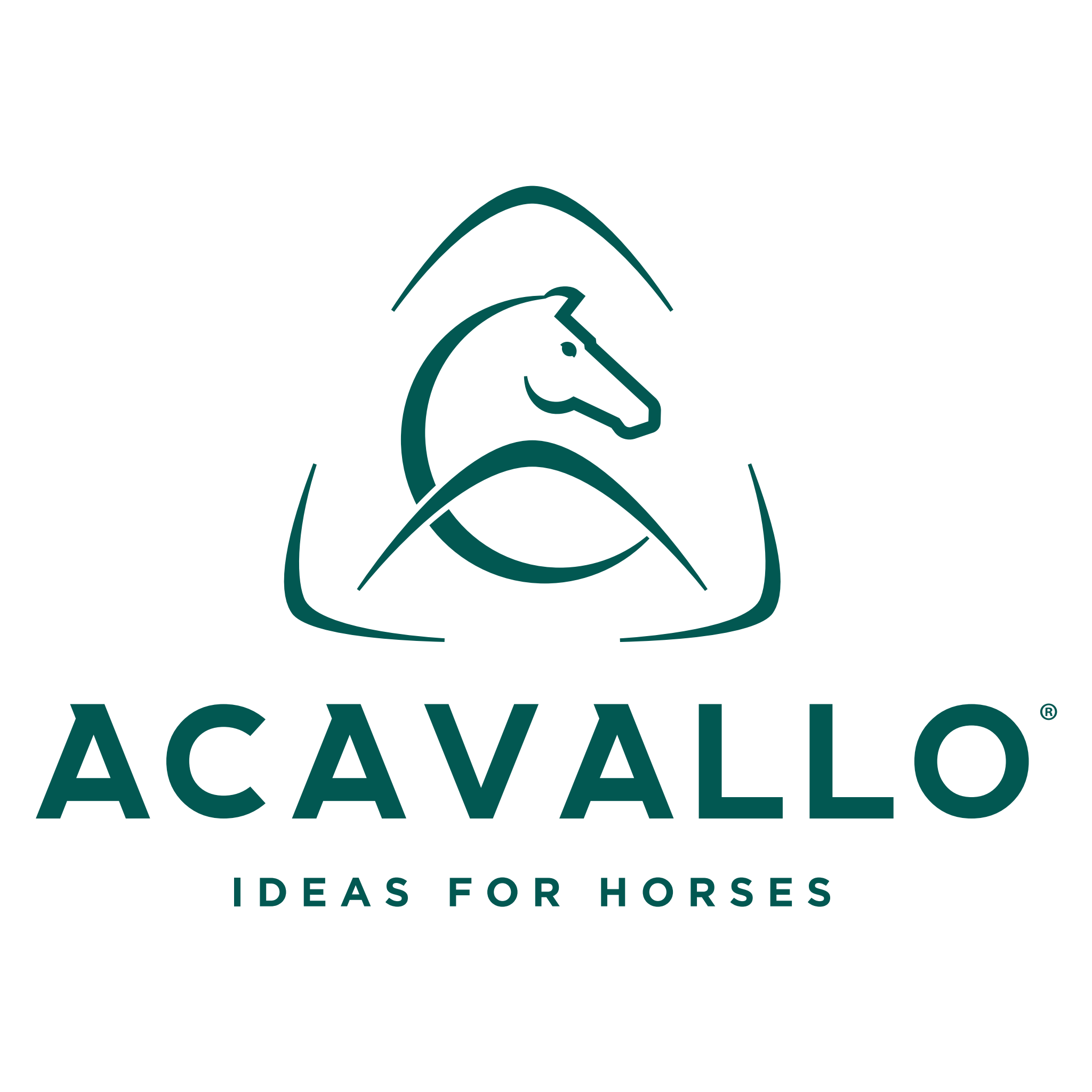 Acavallo