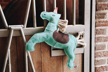 Pferdespass, Lecksteine & Leckerlies