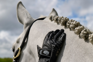 Samshield Handschuhe