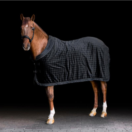 Preview: Eskadron Essence 22 A/W Showdecke VELVET black