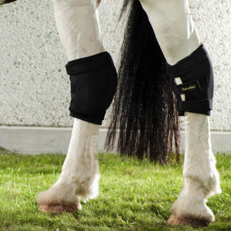 Preview: Back on Track Sprunggelenkschoner 