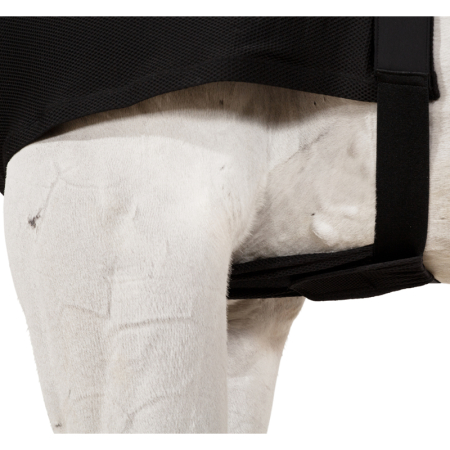 Eskadron DynAir Mesh Brustschutz