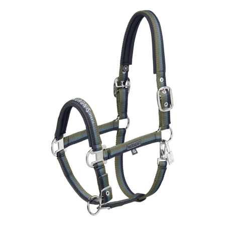 Preview: Eskadron Classic F/S 2025 Halfter "Double Pin"