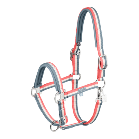 Preview: Eskadron Classic F/S 2025 Halfter "Double Pin"