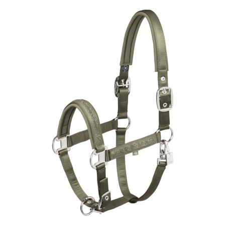 Preview: Eskadron Classic F/S 2025 Halfter "Mattgloss Jewel Double Pin"