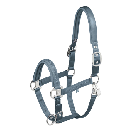 Preview: Eskadron Classic F/S 2025 Halfter "Mattgloss Jewel Double Pin"