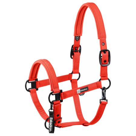 Preview: Eskadron Dynamic Halfter Sparkle Double Pin