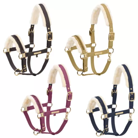 Eskadron Heritage 25/26 Halfter Faux Leather Jewel FF Double Pin