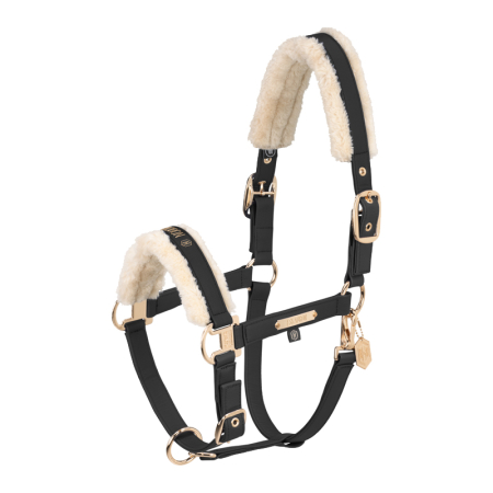 Preview: Eskadron Heritage 24/25 Halfter FAUX Leather Double Pin FF