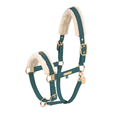 Preview: Eskadron Heritage 24/25 Halfter FAUX Leather Double Pin FF