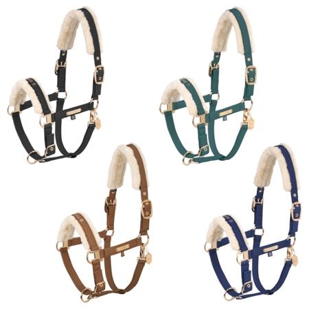 Preview: Eskadron Heritage 24/25 Halfter FAUX Leather Double Pin FF