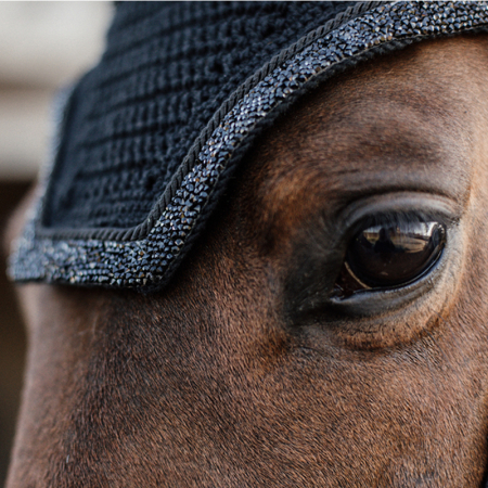 Preview: Kentucky Horsewear FLIEGENHAUBE WELLINGTON GLITTER STONE