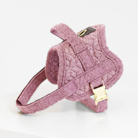 Preview: Kentucky Horsewear Hundegeschirr body safe Wolle