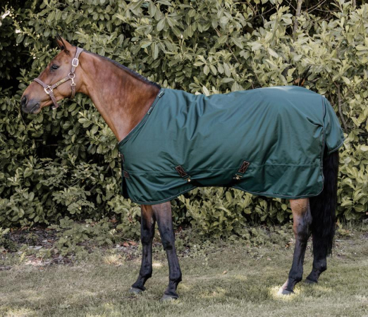 Preview: Kentucky Horsewear WEIDEDECKE ALL WEATHER - Wasserdicht pro 160g