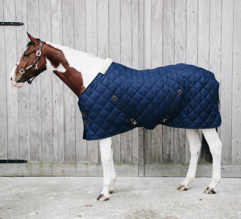 Preview: Kentucky Horsewear STALLDECKE Og