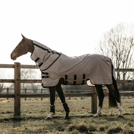 Preview: Kentucky Horsewear FLIEGENDECKE BEIGE