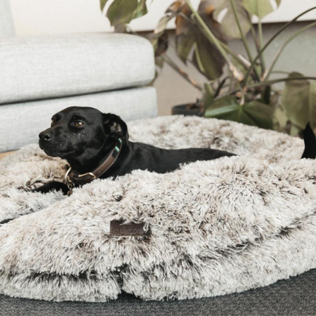 Preview: Kentucky Horsewear Hundebett Comfort Donut