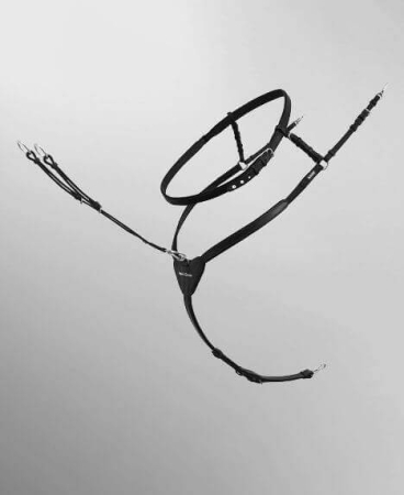 Passier Vorderzeug INGRID KLIMKE