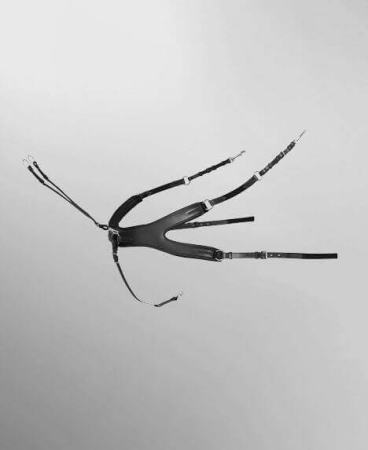 Preview: Passier Vorderzeug AURIGA