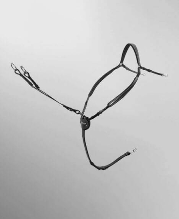 Preview: Passier Vorderzeug MARCUS EHNING, unterfüttert