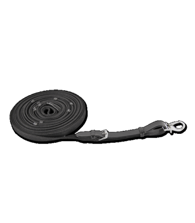 Longierleine ohne Wirbel