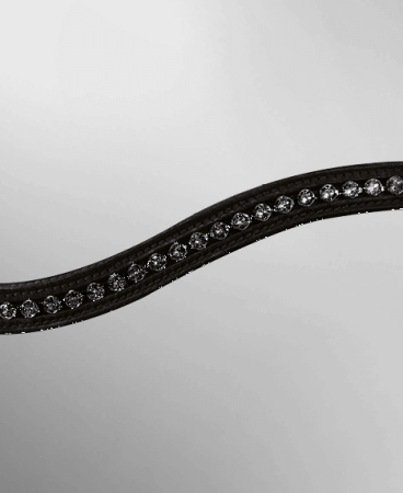 Preview: Passier Trense Apollo