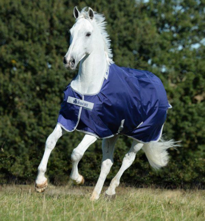 Preview: Bucas Atlantic 50g