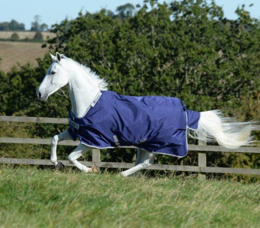 Preview: Bucas Atlantic 50g