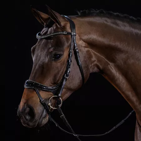 Schockemöhle Trense Equitus Beta Glam