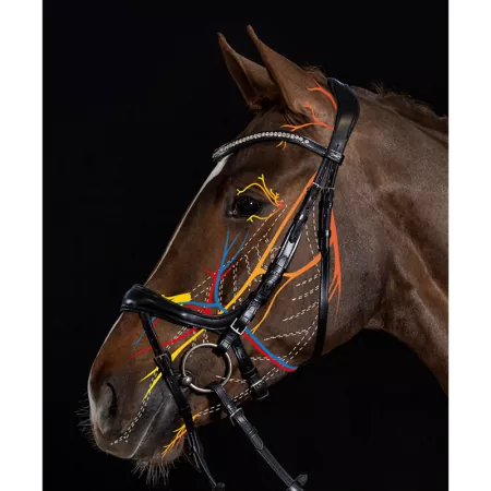 Schockemöhle Trense Equitus Beta Glam