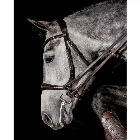 Schockemöhle Trense Equitus Theta - Gebisslos!