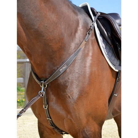 Horse Star Vorderzeug