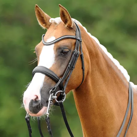 Passier PASSIERBLU Dream Kandare