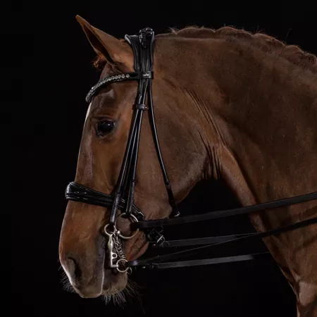 Schockemöhle Kandare Kensington