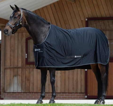 Bucas Shamrock Power