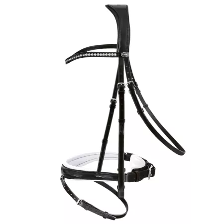 Passier Trense Atlas