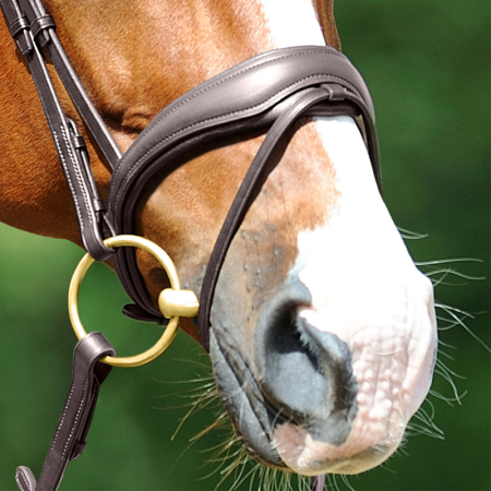 Preview: Passier PASSIERBLU Trense Spirit