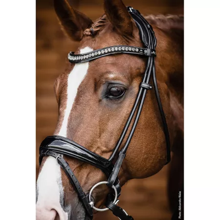 Schockemöhle Trense Westminster