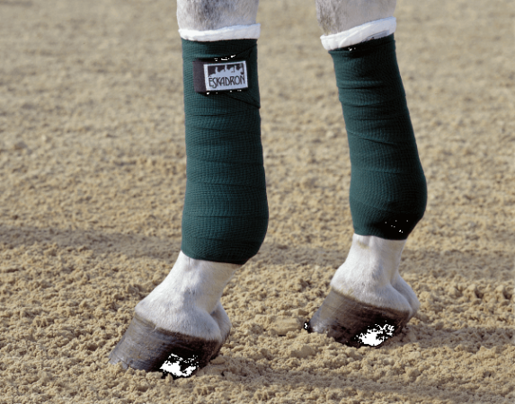 Preview: Eskadron ELASTIC