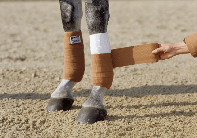 Preview: Eskadron Bandagen CLIMATEX