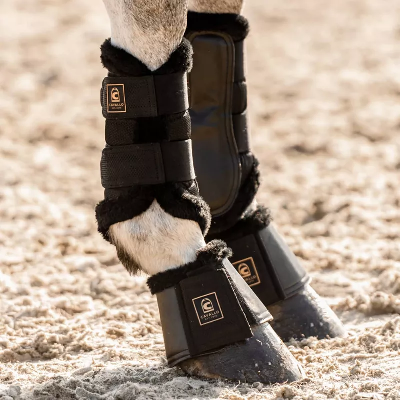 CavalLoretta Hufglocken Premium