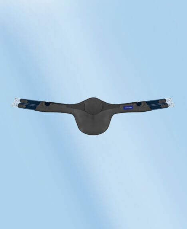 Passier PASSIERBLU Protect Ledersattelgurt mit Stollenschutz