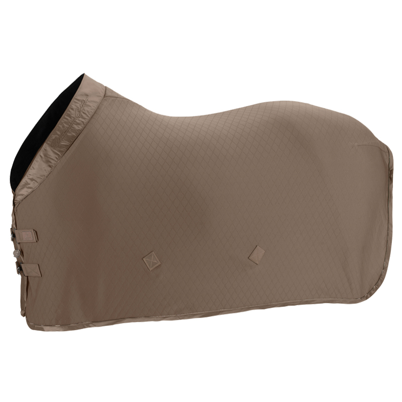 Eskadron Platinum Edition Abschwitzdecke Aerial Jersey