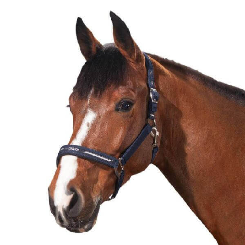 Eskadron Focus Halfer + Strick