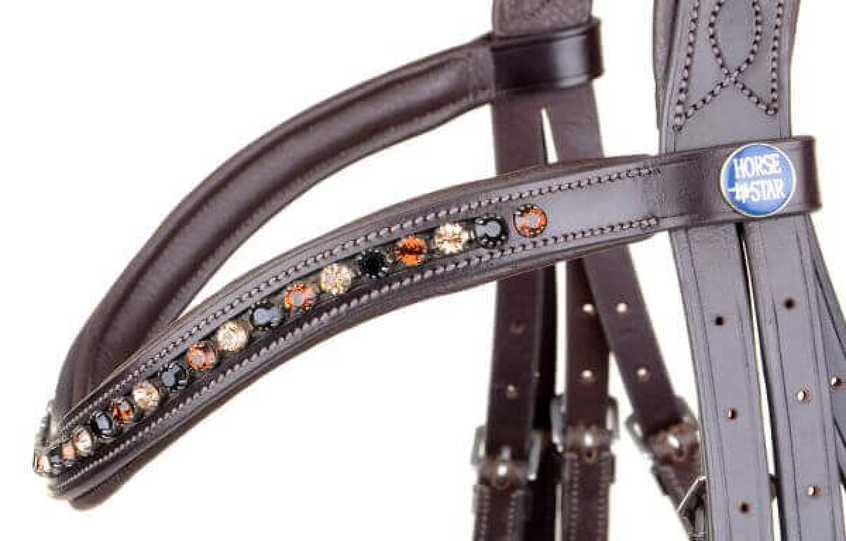 Horse Star Kandare Oslo, braun/braun unterlegt, lack